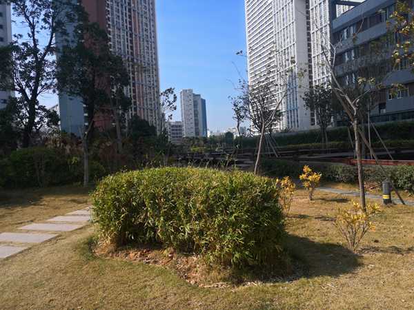 有中级职称能入户广州