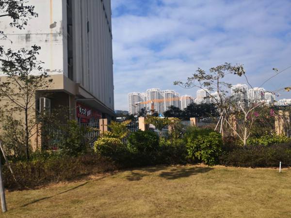 入户广州街道户