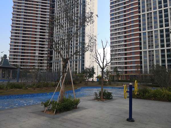 广州入户怎么调档